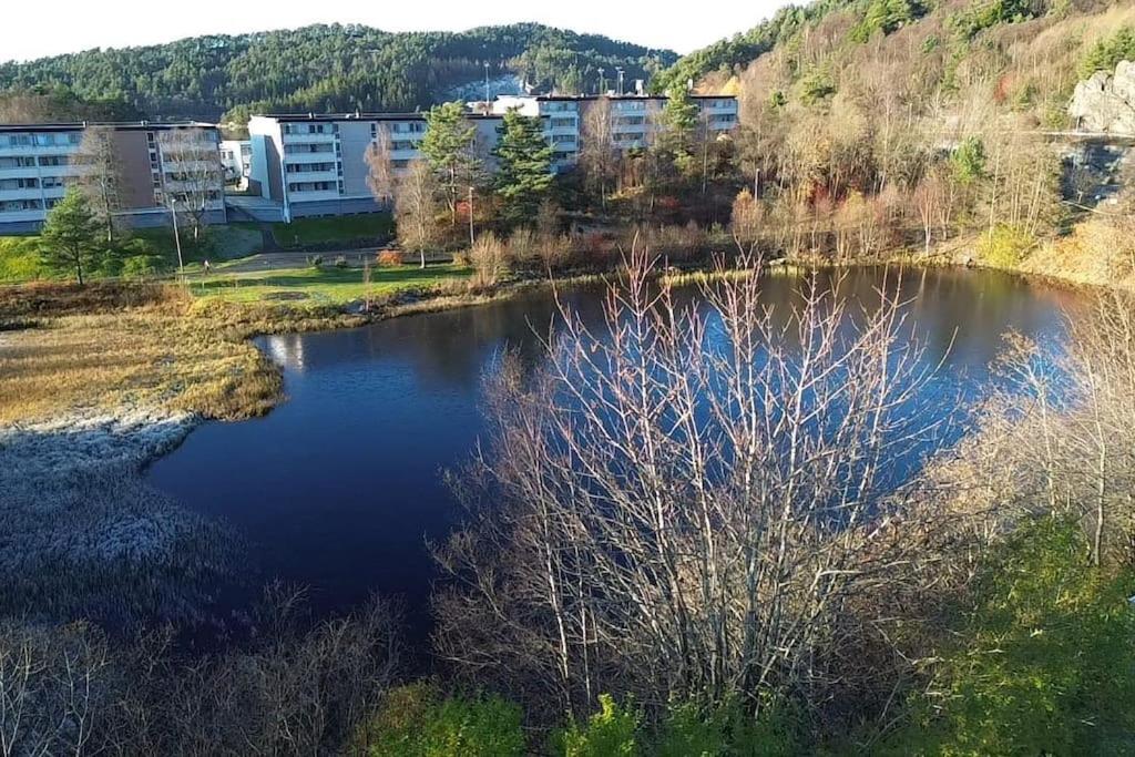Your Dream Studio in Bergen - MATURAMENTO DELLA STUDIO
