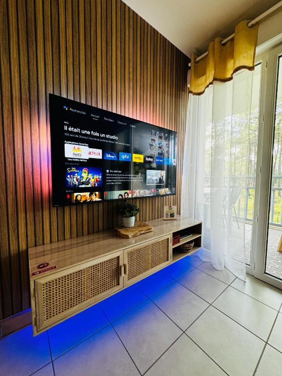 TV a/nebo společenská místnost v ubytování La Forêt des Pins - Free Check-In - Wifi - Parking Privé - Netflix - Draps & Serviettes inclus