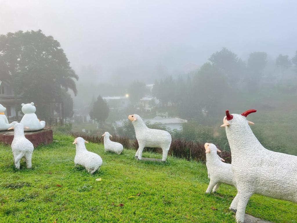 um grupo de ovelhas e patos falsos num campo em เนริสารีสอร์ท เขาค้อ em Ban Khao Ya Nua