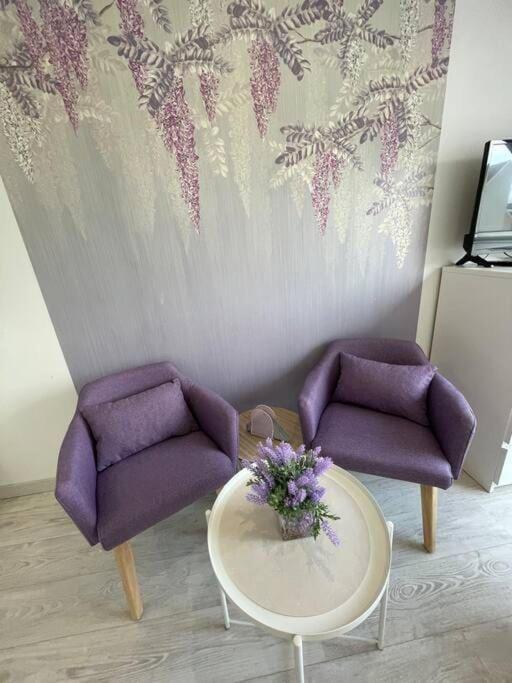 Esprit Violet - Joli Studio Salengro - Sauna & Sport club – photo 12