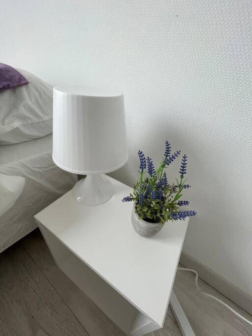 Esprit Violet - Joli Studio Salengro - Sauna & Sport club – photo 14