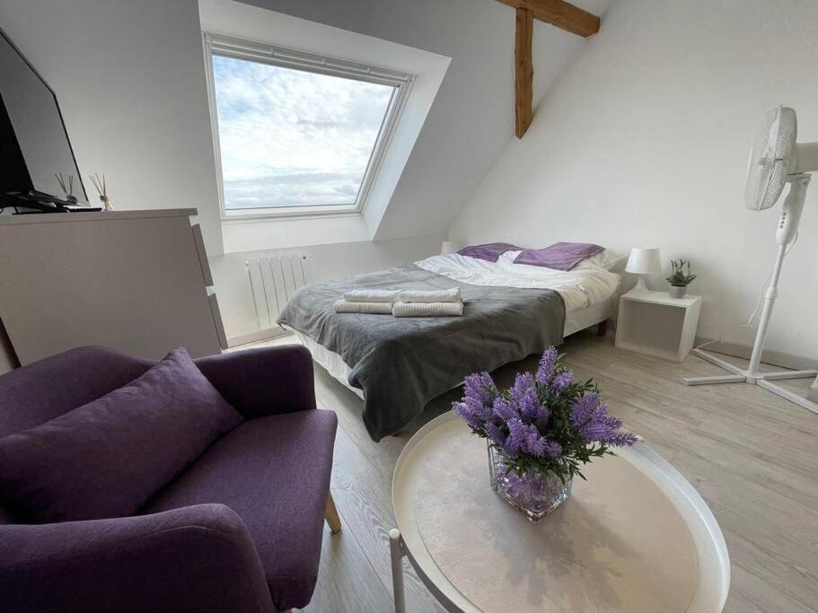 Esprit Violet - Joli Studio Salengro - Sauna & Sport club – photo 2