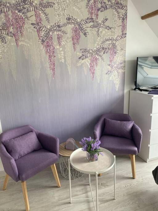 Esprit Violet - Joli Studio Salengro - Sauna & Sport club – photo 18