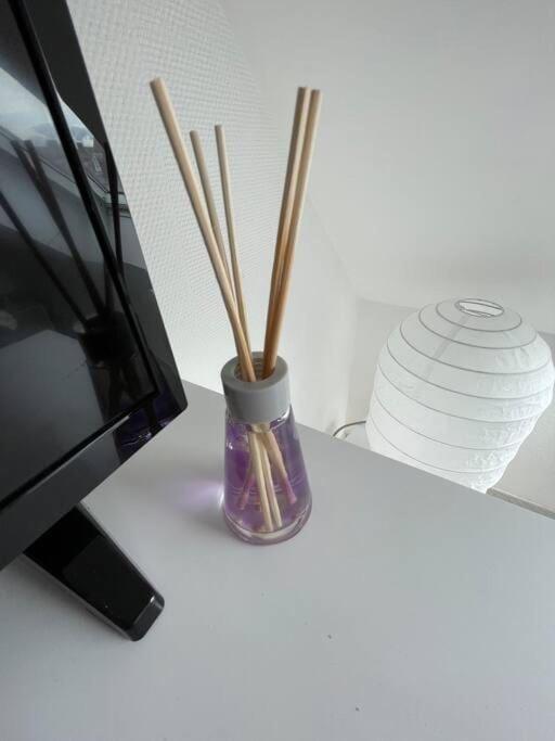 Esprit Violet - Joli Studio Salengro - Sauna & Sport club – photo 19
