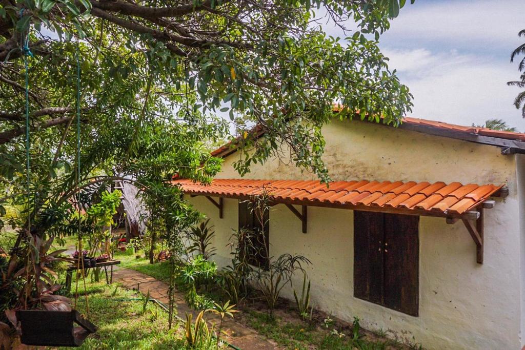 Um jardim no exterior de Pousada Mirage Atins
