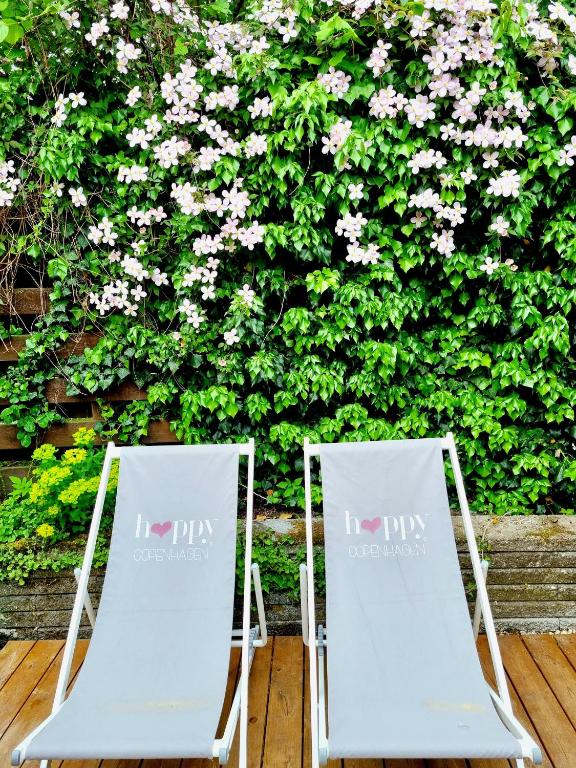 Neptun Studio-apartment with terrace.にある庭