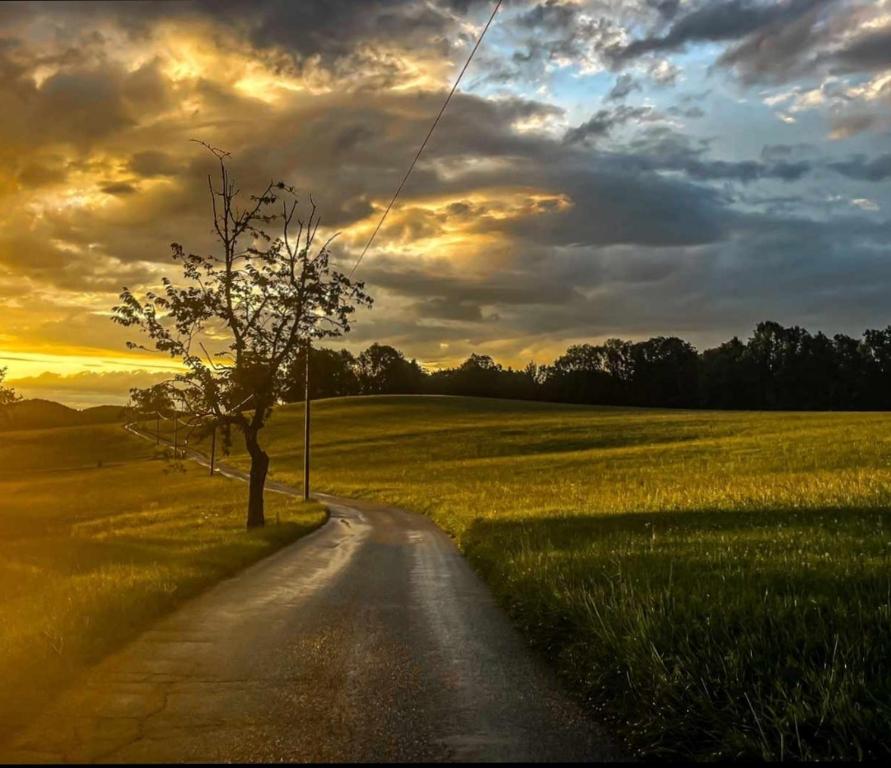 a road in the middle of a field with a tree at Ferienhaus am Kellpointhof in Miesbach