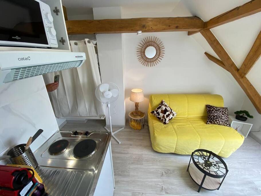 Esprit Jaune - Cosy studio Salengro - Sauna & Sport club – photo 3