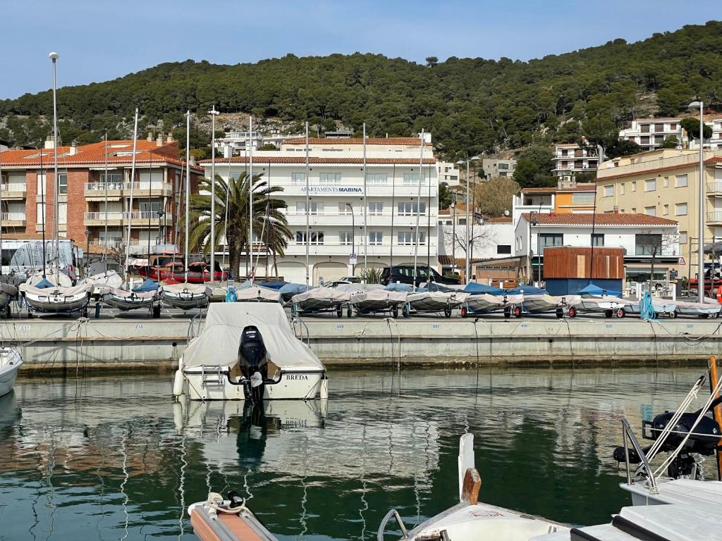 Príroda v okolí apartmánu