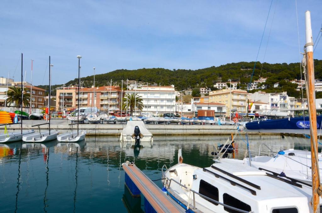 Príroda v okolí apartmánu