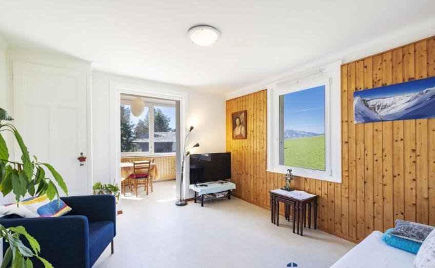 Leysin Alpine Apartment - Housity