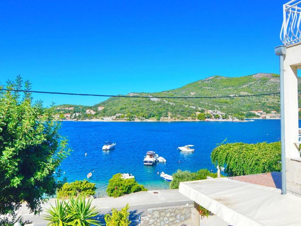 Naturlandskabet i nærheden af lejligheden