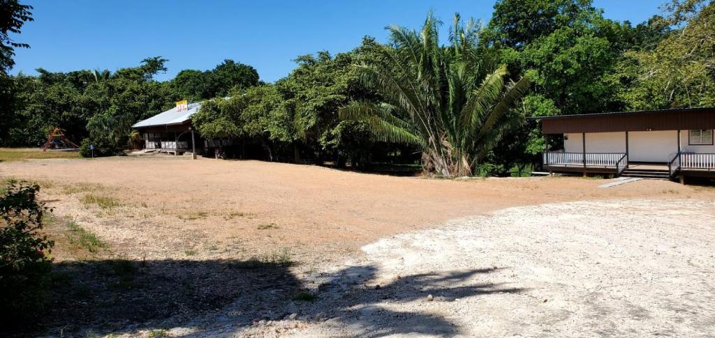 uma estrada de terra ao lado de um edifício com uma árvore em Tropical View em Spanish Lookout