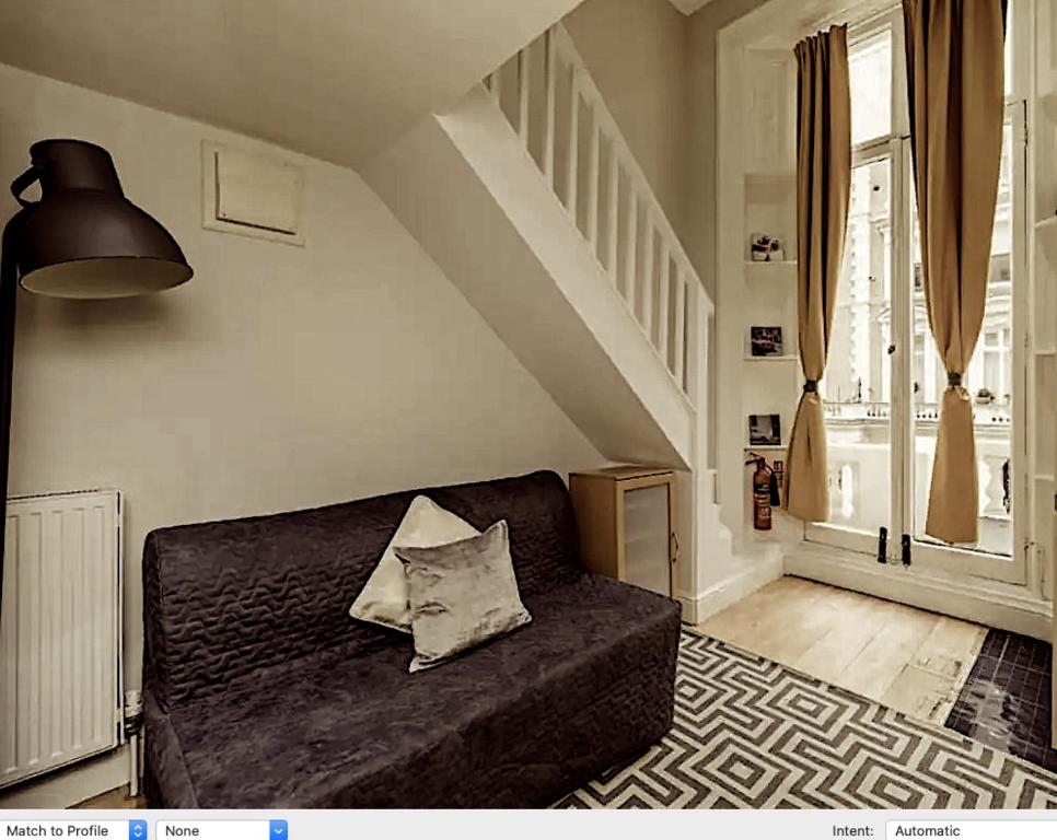 een woonkamer met een bank met een kussen erop bij Live the London life in Notting hill in Londen