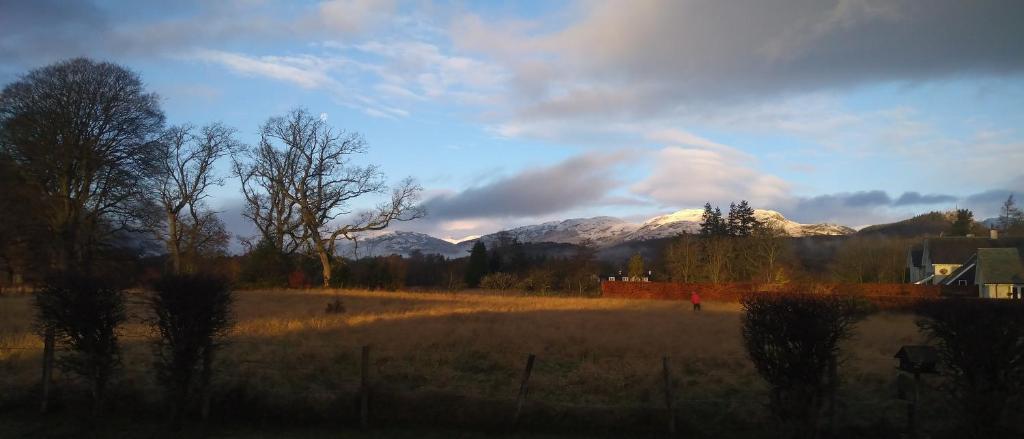a view of a field with mountains in the background at Aquila Retreats in Comrie