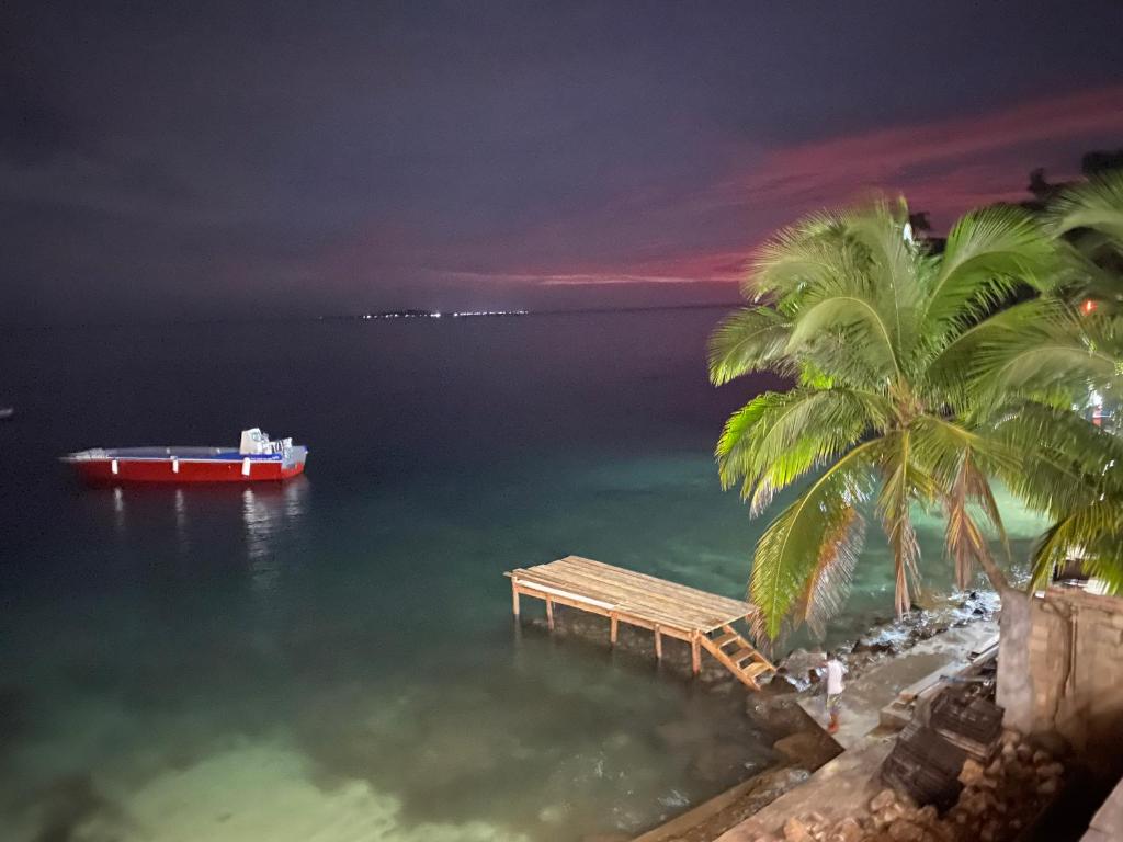 łódź w wodzie obok palmy w obiekcie Las Palmeras OceanView Hotel and Dive Center w mieście Corn Islands