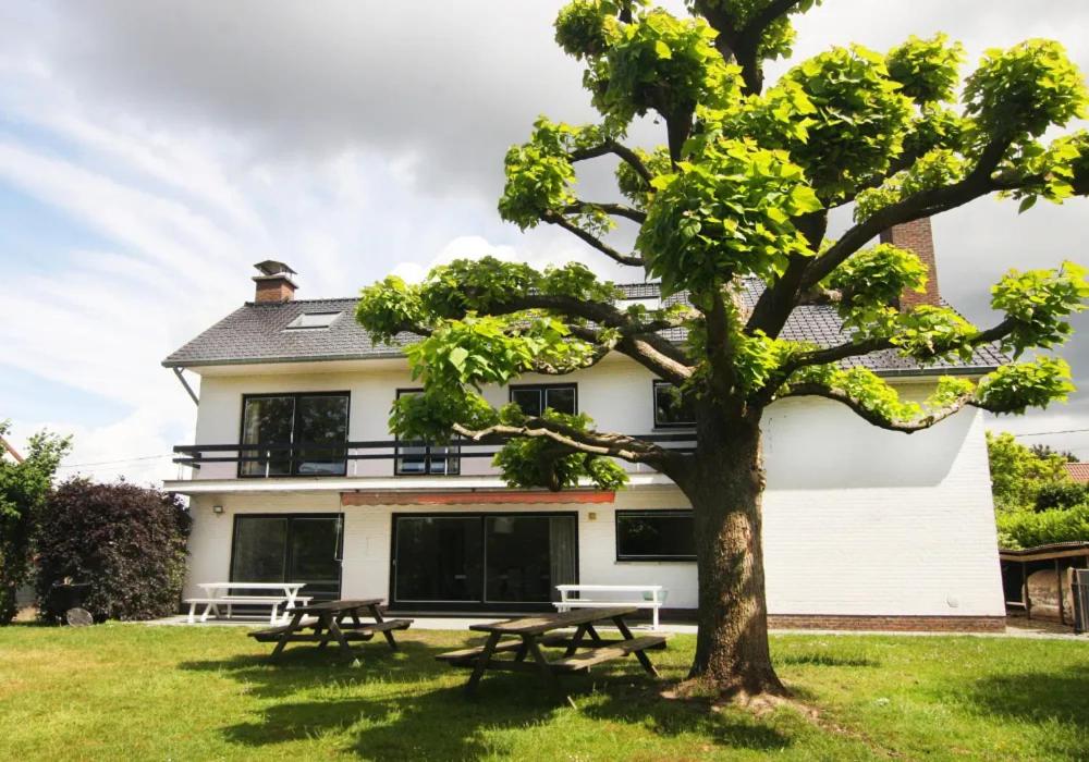 ein Haus mit Picknicktischen und einem Baum davor in der Unterkunft Vakantiewoning La Cereza in Oudenaarde