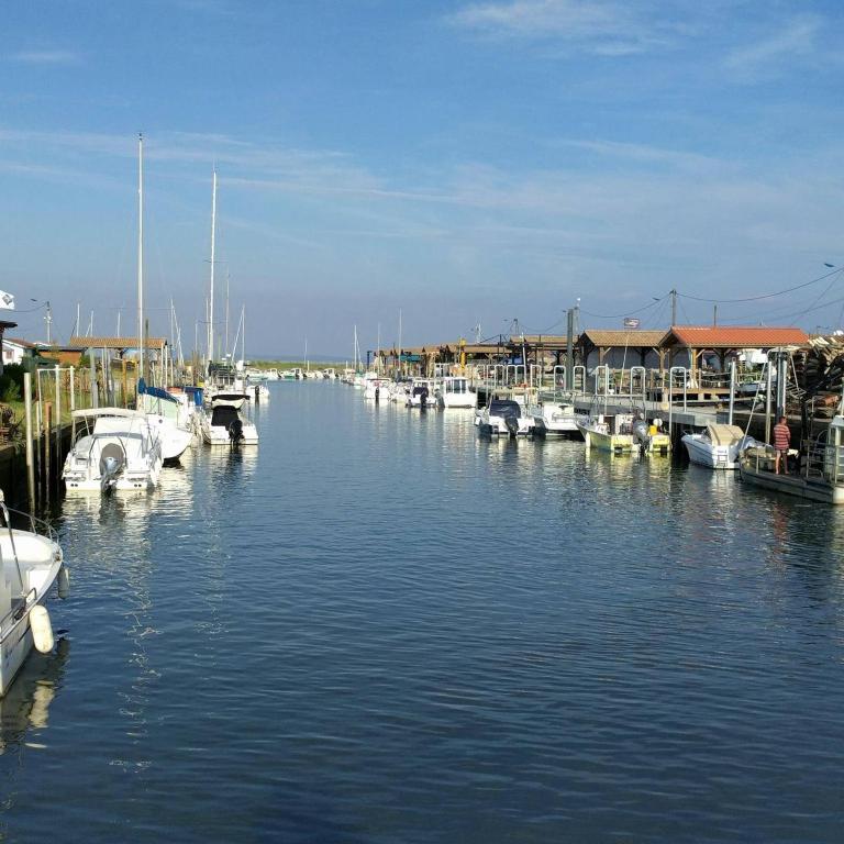 un groupe de bateaux est amarré dans un port de plaisance dans l'établissement La Cabane aux Mouettes, à Andernos-les-Bains