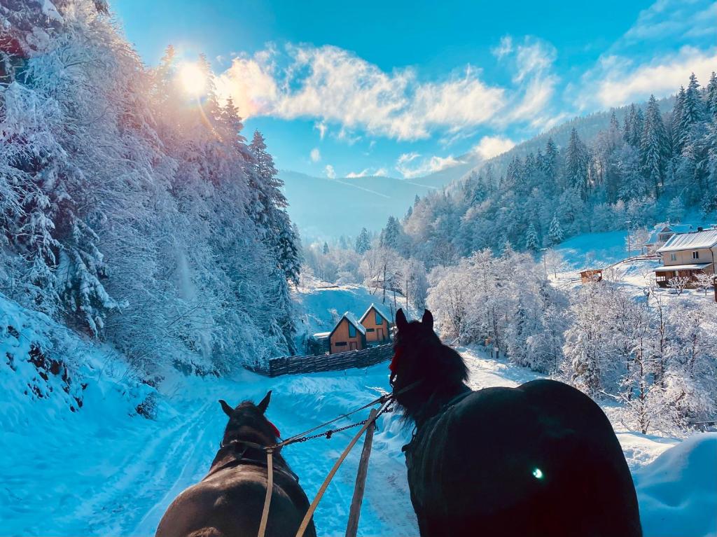 two horses are walking down a snow covered road at BagriWood Lodges (Лоджі БагріВуд) in Yaremche