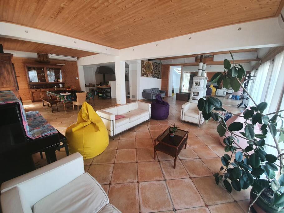 a living room filled with furniture and a potted plant at La Maison Rose sur le Port in Saint-Louis-du-Rhône