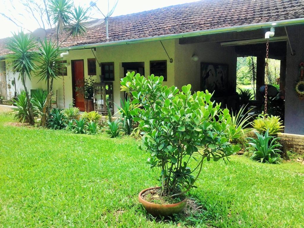  Hotel Fazenda Terra Ramos