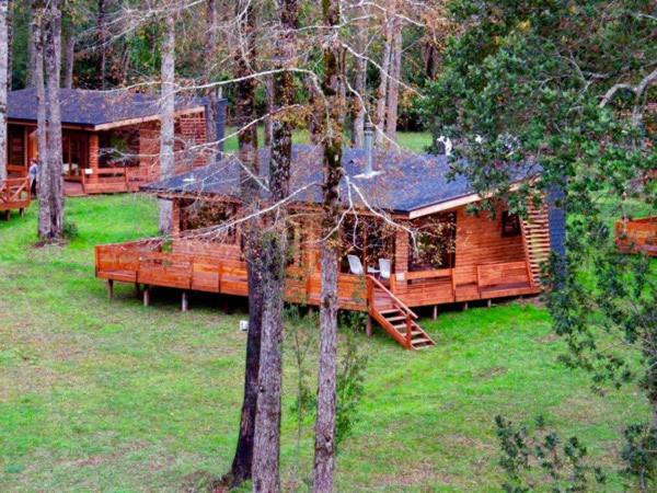 Zahrada ubytování Los Lingues Lodge