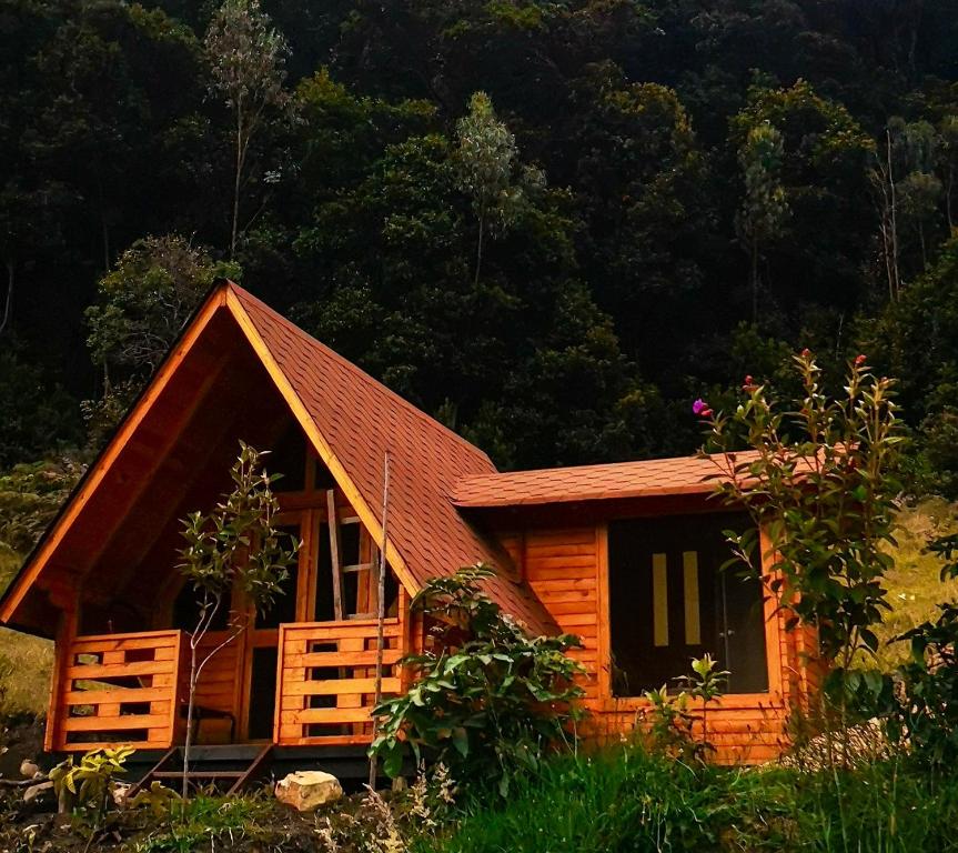 Tybyn Geo Lodge - 