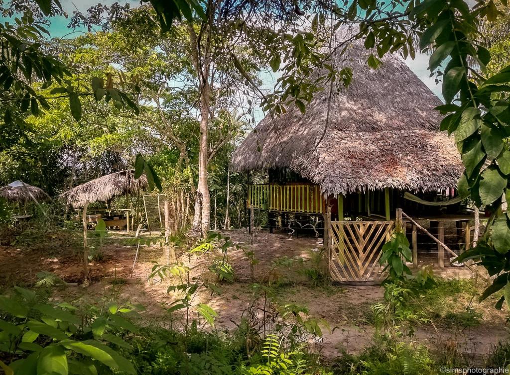 una cabaña con techo de paja en un bosque en MALOKA LODGE, en Iquitos