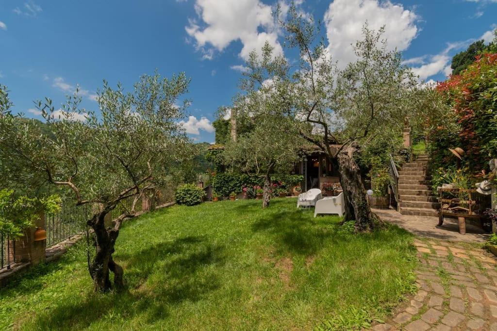un jardín con árboles y un banco en el césped en Guest House: Casa dei Lillà, en Bellegra