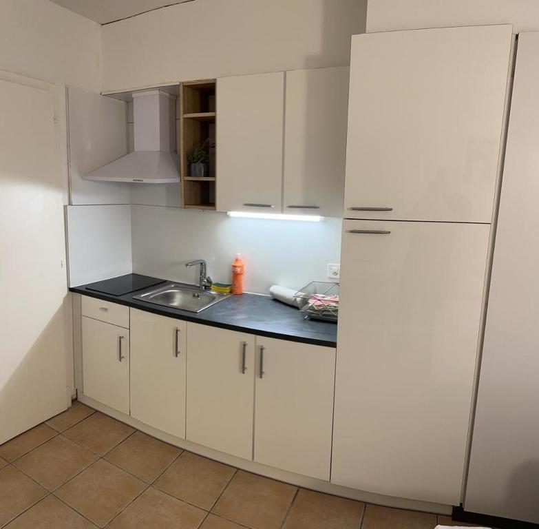 Kuchyň nebo kuchyňský kout v ubytování Residence Vue Chateau