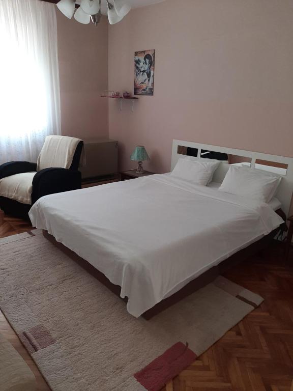 een slaapkamer met een groot wit bed in een kamer bij Anka in Jagodina