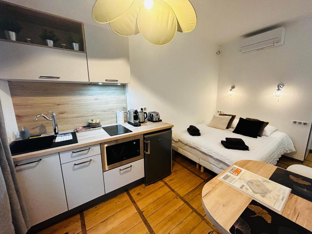 een kleine kamer met een bed en een keuken bij Studio Carnot - Centre - Hospices in Beaune