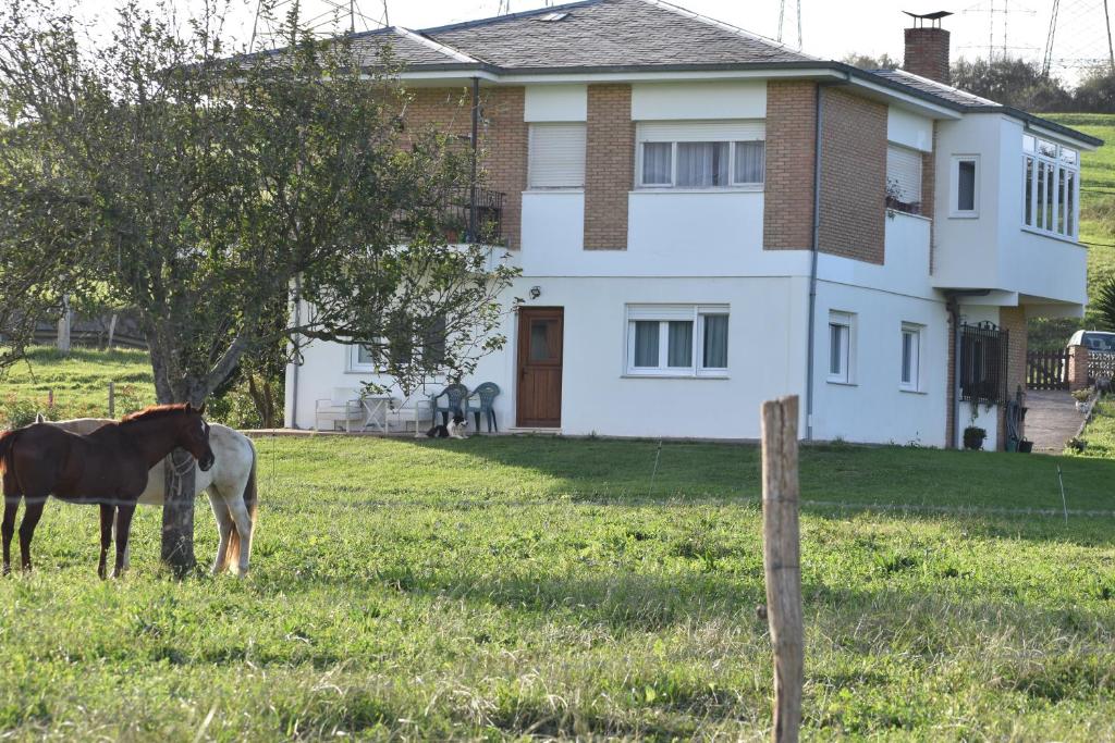 een paard in een veld voor een huis bij La Chabola in Sobarzo