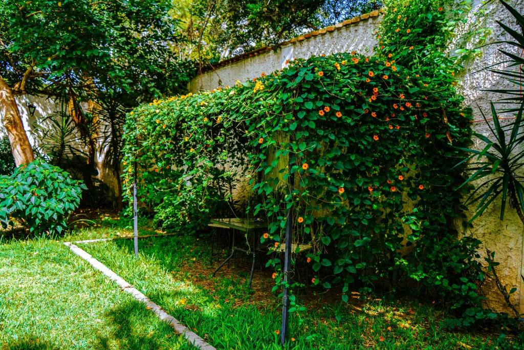 Fotografie z fotogalerie ubytování Posada las Margaritas v destinaci Guadalajara