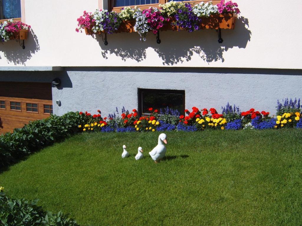 Vonkajšia záhrada v ubytovaní Pension Felsenheim