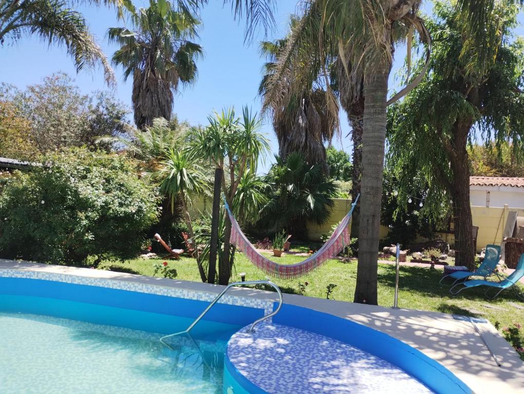a pool with a hammock in a yard with palm trees at Zorzales in Funes