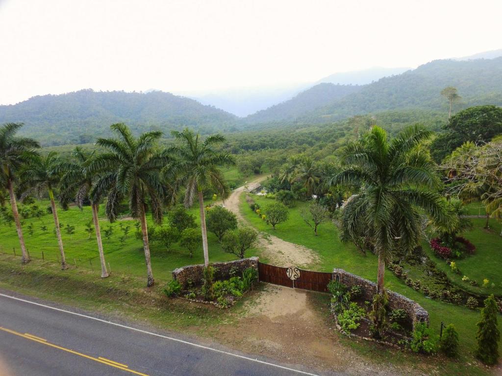 Good Living CampにあるValley Stream Private Edenの道路脇のヤシの木道