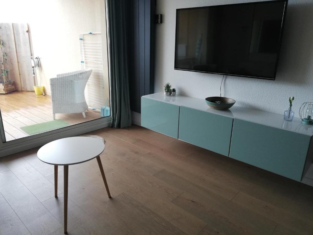 TV a/nebo společenská místnost v ubytování Studio cosy