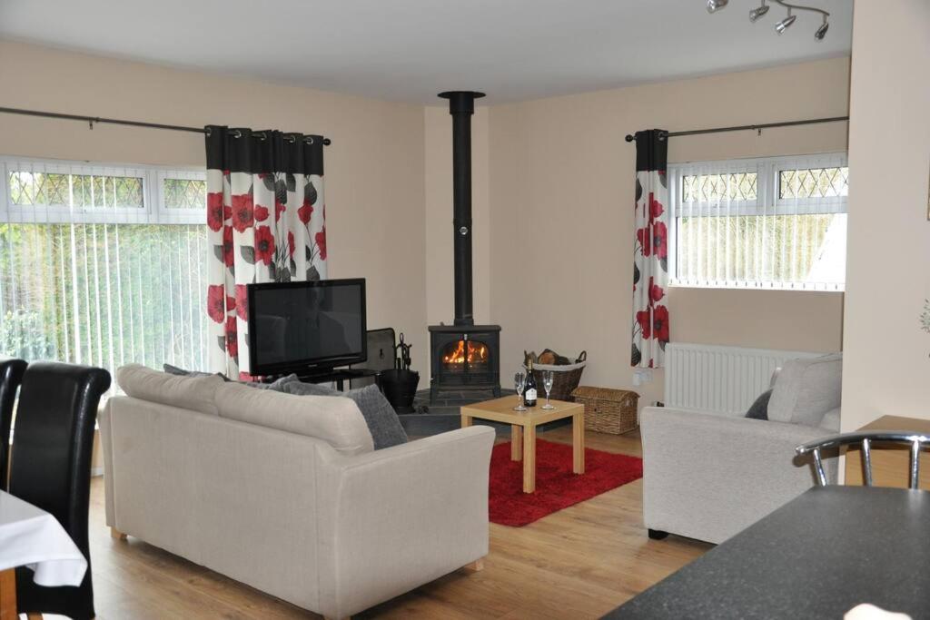 a living room with a couch and a fire place at Swallows Haven in Moneyreagh