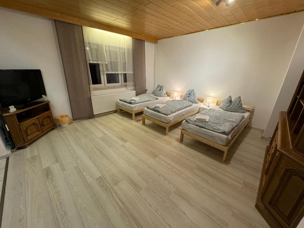 een woonkamer met 2 bedden en een flatscreen-tv bij II Apartment Dingolfing Ferienwohnung Kronwieden II in Loichinger Mühle