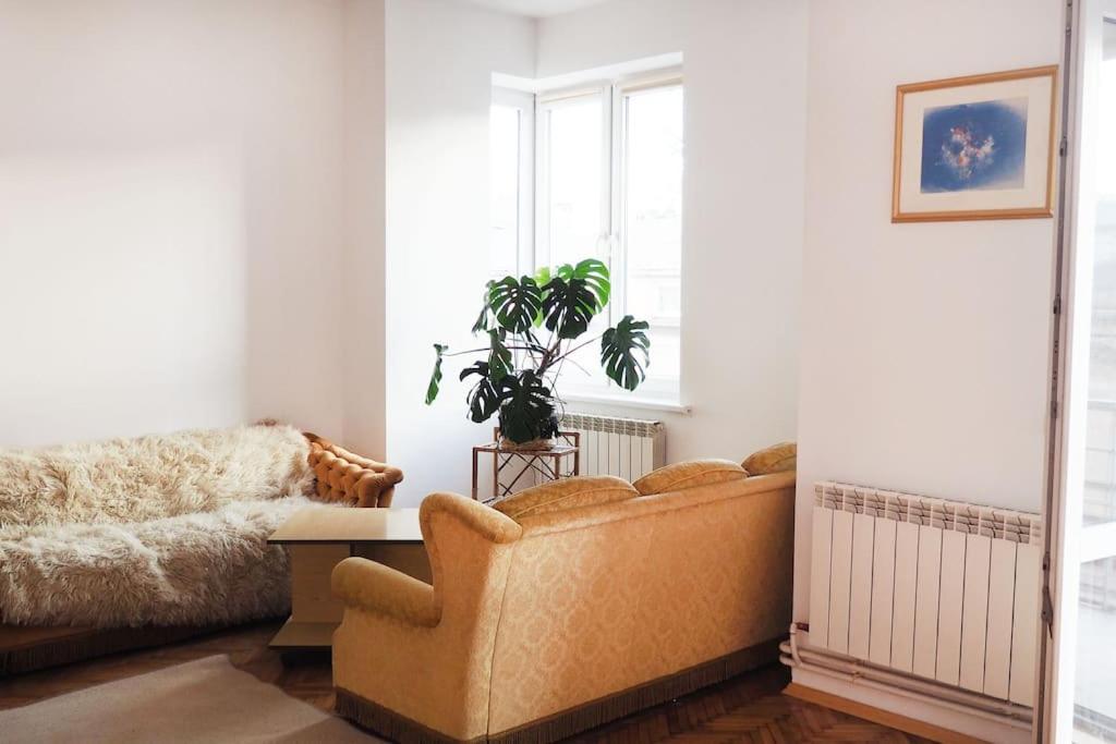 a living room with a couch and a table at Central Rooms in Przemyśl