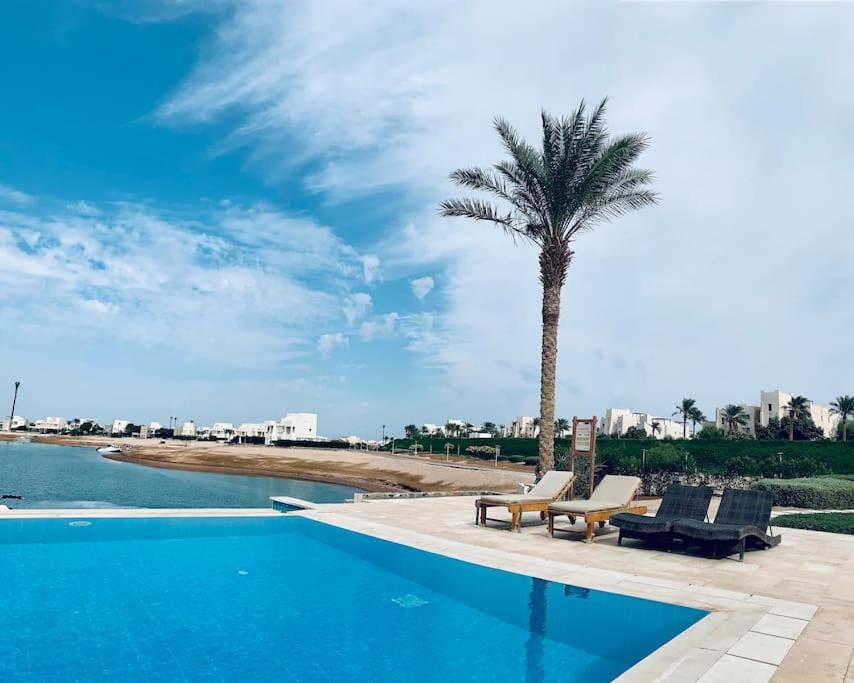 - une piscine avec un palmier à côté d'une plage dans l'établissement El Gouna Seaduction Breeze !, à Hurghada