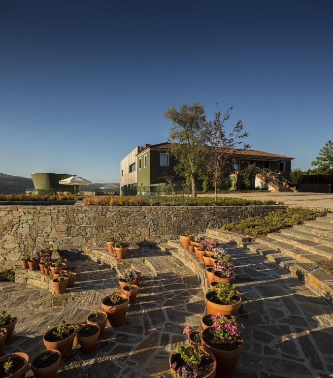 um monte de vasos de plantas sentados numa escadaria de pedra em Monverde - Wine Experience Hotel - by Unlock Hotels em Amarante