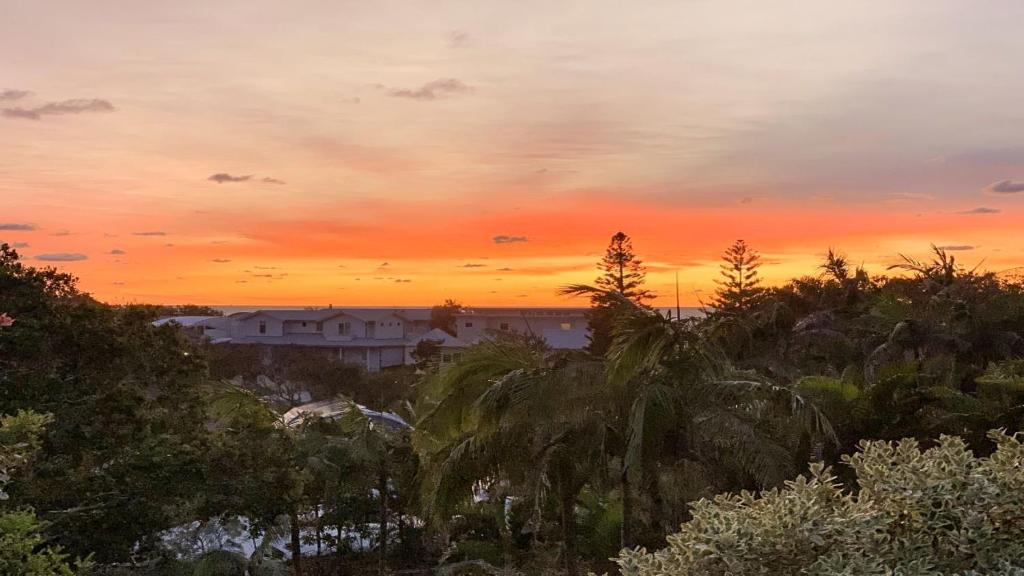 a sunset over a city with palm trees and buildings at Sea Souls in Boomerang Beach
