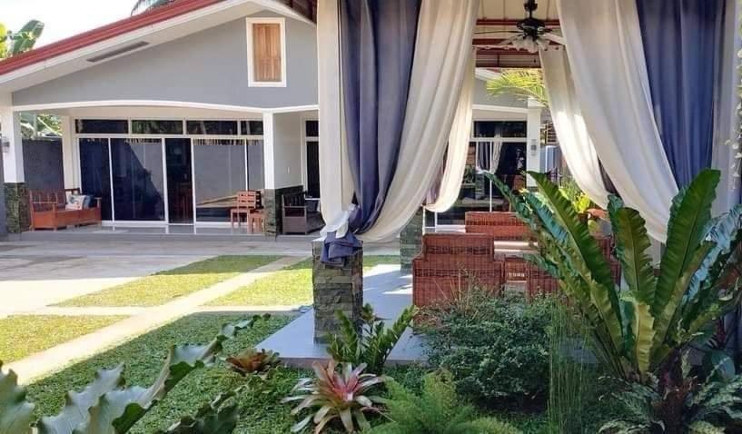 a view of a house with curtains and plants at Diez Dregger Fully Furnished Apartments in Valencia