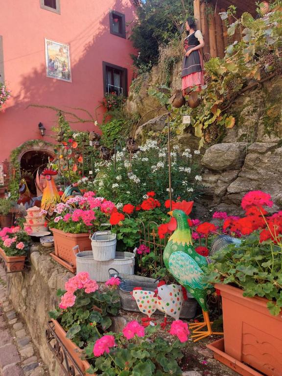 la Parenthèse Kaysersberg – photo 16