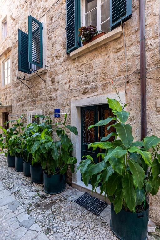 a row of potted plants in front of a building at B&B BUZA HOUSE in Dubrovnik