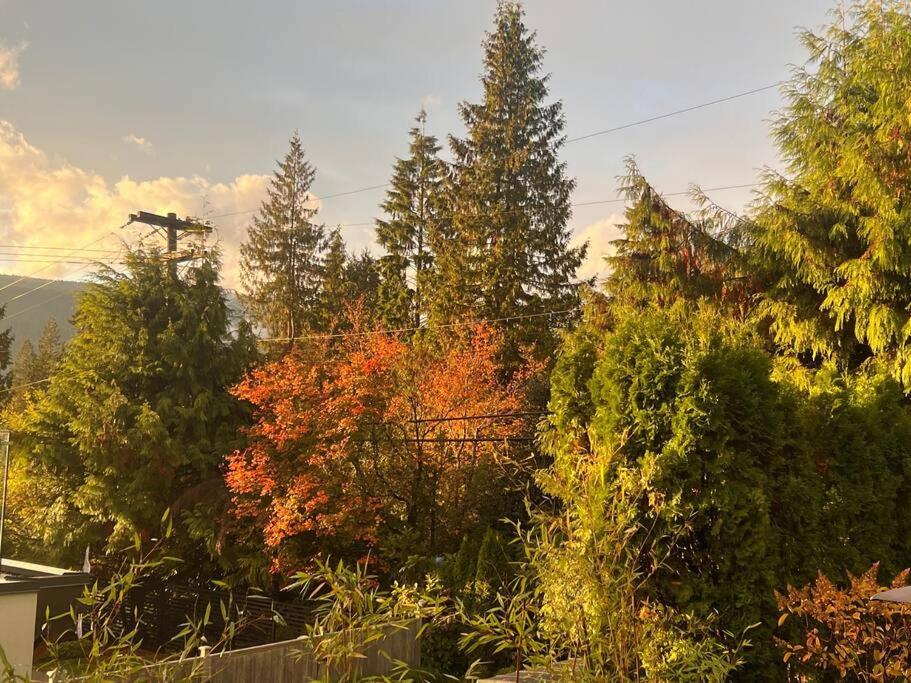 'Canyon Heights' Retreat (Grouse Mountain) photo