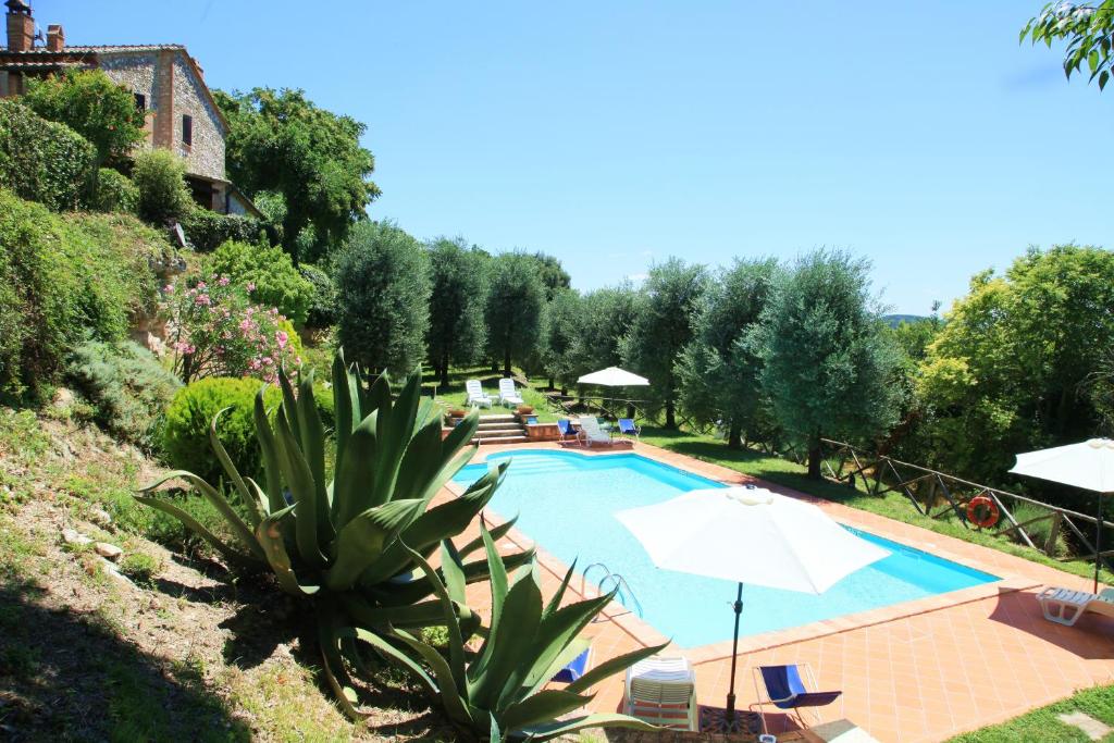 阿梅利亞的住宿－Agriturismo Podere Luchiano，一个带遮阳伞的游泳池以及度假村