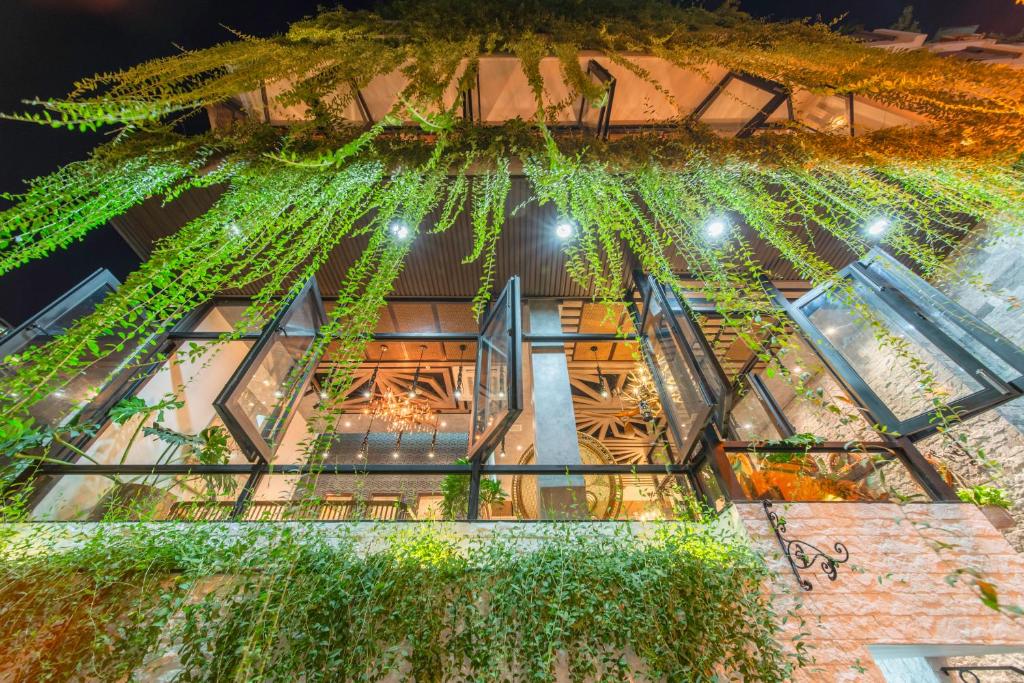 Vườn quanh Aaron Boutique Hotel